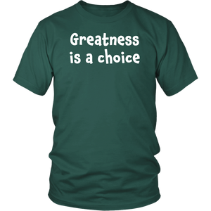 Greatness is a choice - District Unisex Shirt