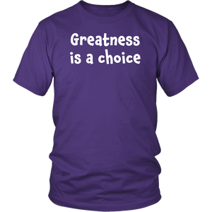 Greatness is a choice - District Unisex Shirt